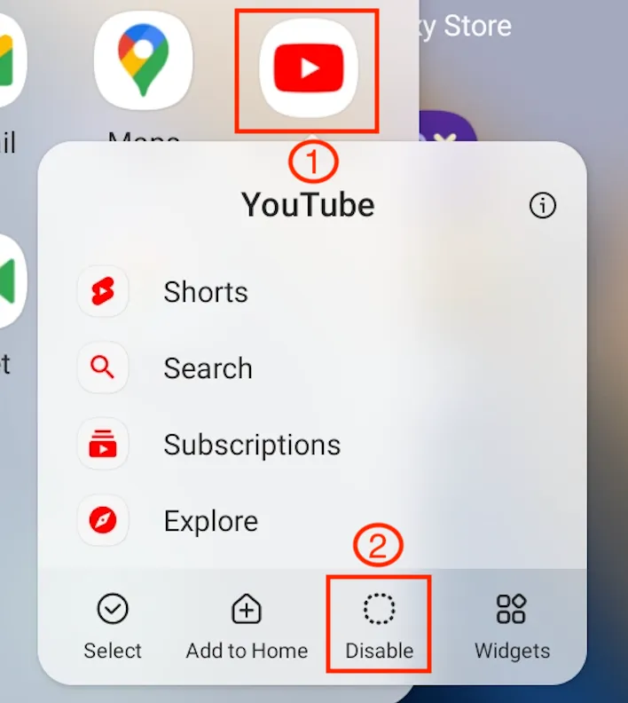 YouTube Disable